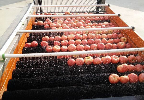 水果蔬菜清洗機