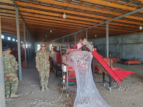 午夜美女福利视频種植機器